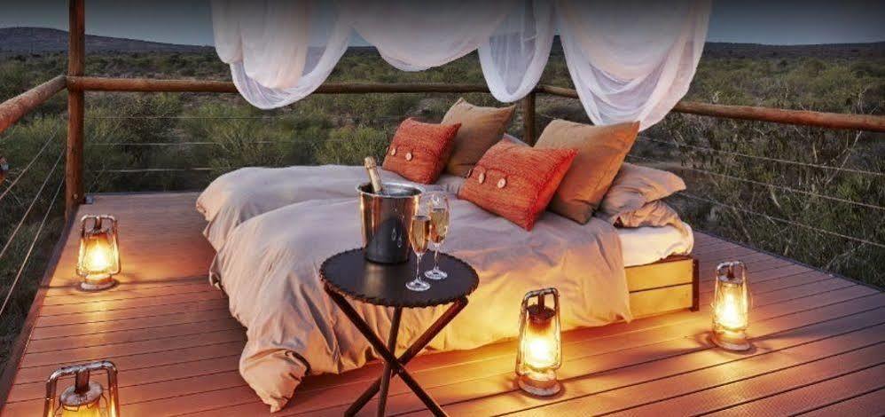 Sanctuary Makanyane Safari Lodge Madikwe Game Reserve Bagian luar foto