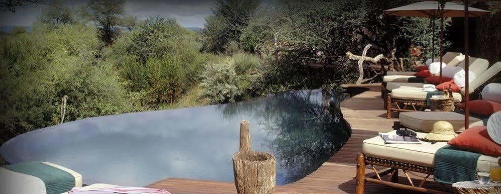 Sanctuary Makanyane Safari Lodge Madikwe Game Reserve Bagian luar foto