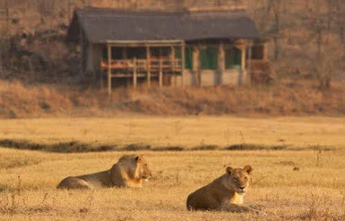Sanctuary Makanyane Safari Lodge Madikwe Game Reserve Bagian luar foto