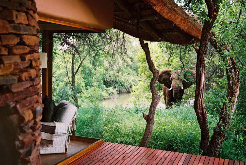 Sanctuary Makanyane Safari Lodge Madikwe Game Reserve Bagian luar foto